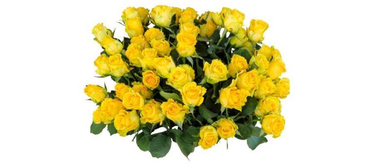 Blumen auf Rechnung Flexibilität beim Blumenversand