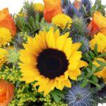 Zu sehen ist Bild 1 zum Beitrag mit dem Thema: Blumenstrauß Sonnenkuss